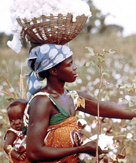 Cotton and Africa