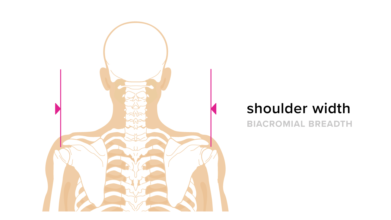 How to calculate your shoulder 